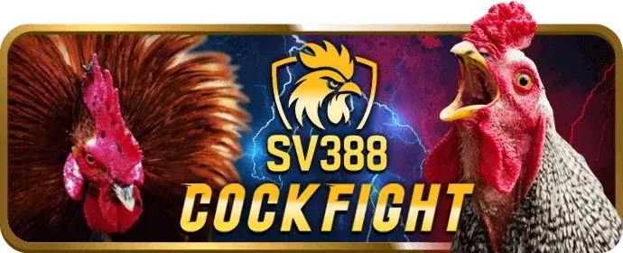 Cá cược thể thao trên di động với Shbet